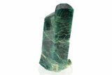 Lustrous, Blue-Green Fluorapatite Crystal - New Find! #243399-1